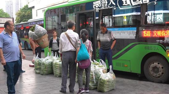 菜农专线开通！吉首公交变身运“蔬”车